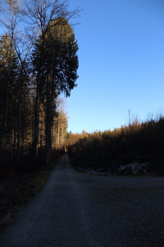 Berns südlichste Punkt - Forst